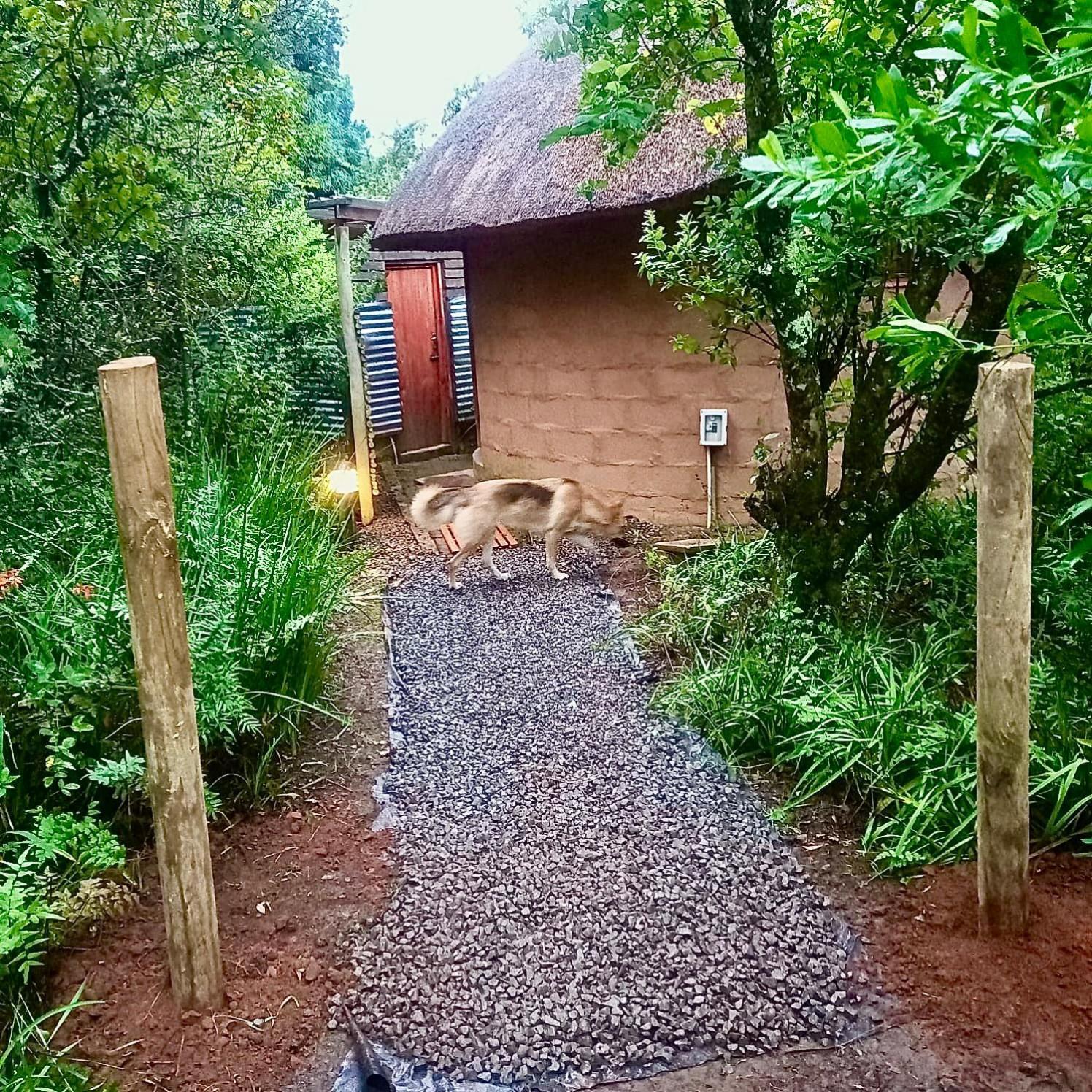Drakensberg Inkosana Lodge Champagne Valley Exteriör bild