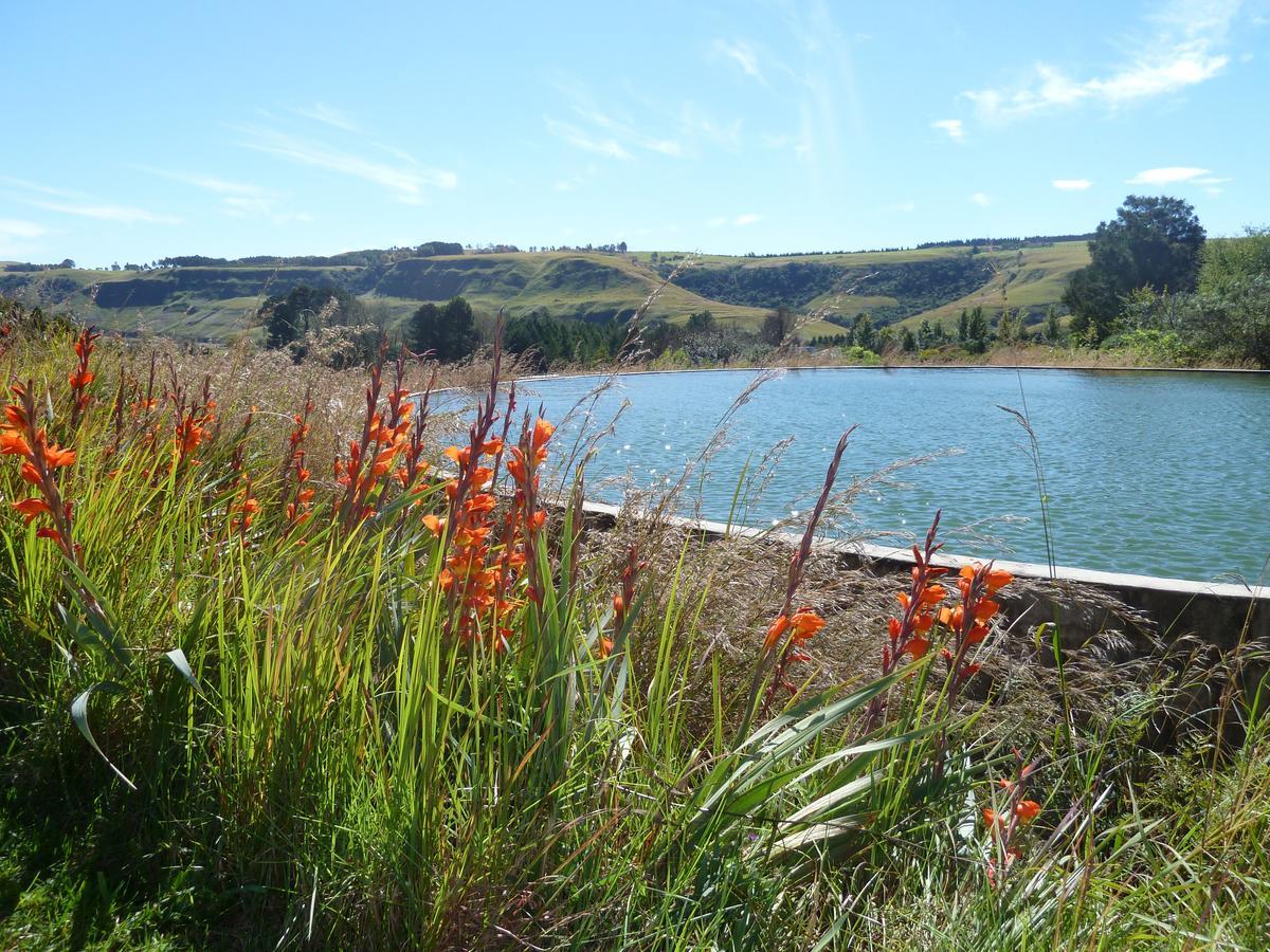 Drakensberg Inkosana Lodge Champagne Valley Exteriör bild