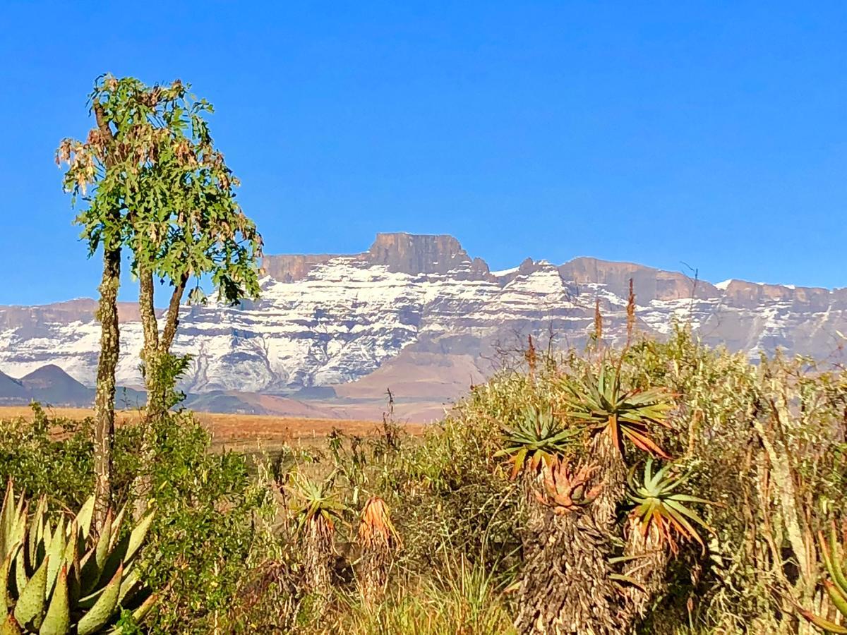 Drakensberg Inkosana Lodge Champagne Valley Exteriör bild